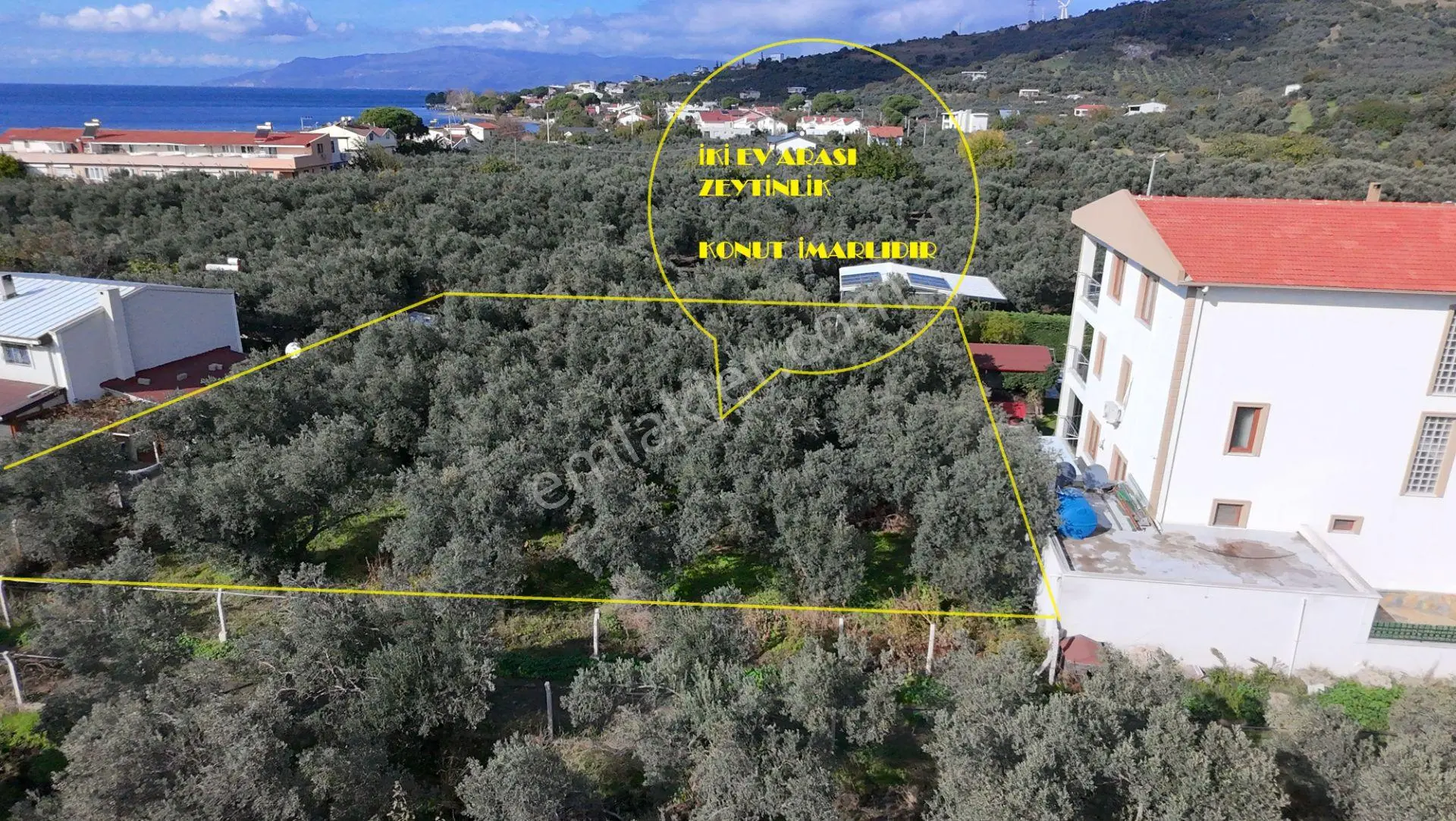 Balıkesir Erdek Narlı Mah. 940 M2 Satılık Zeytinlik Merkezi Konumda Villa İmarlı — fotoğraf 2