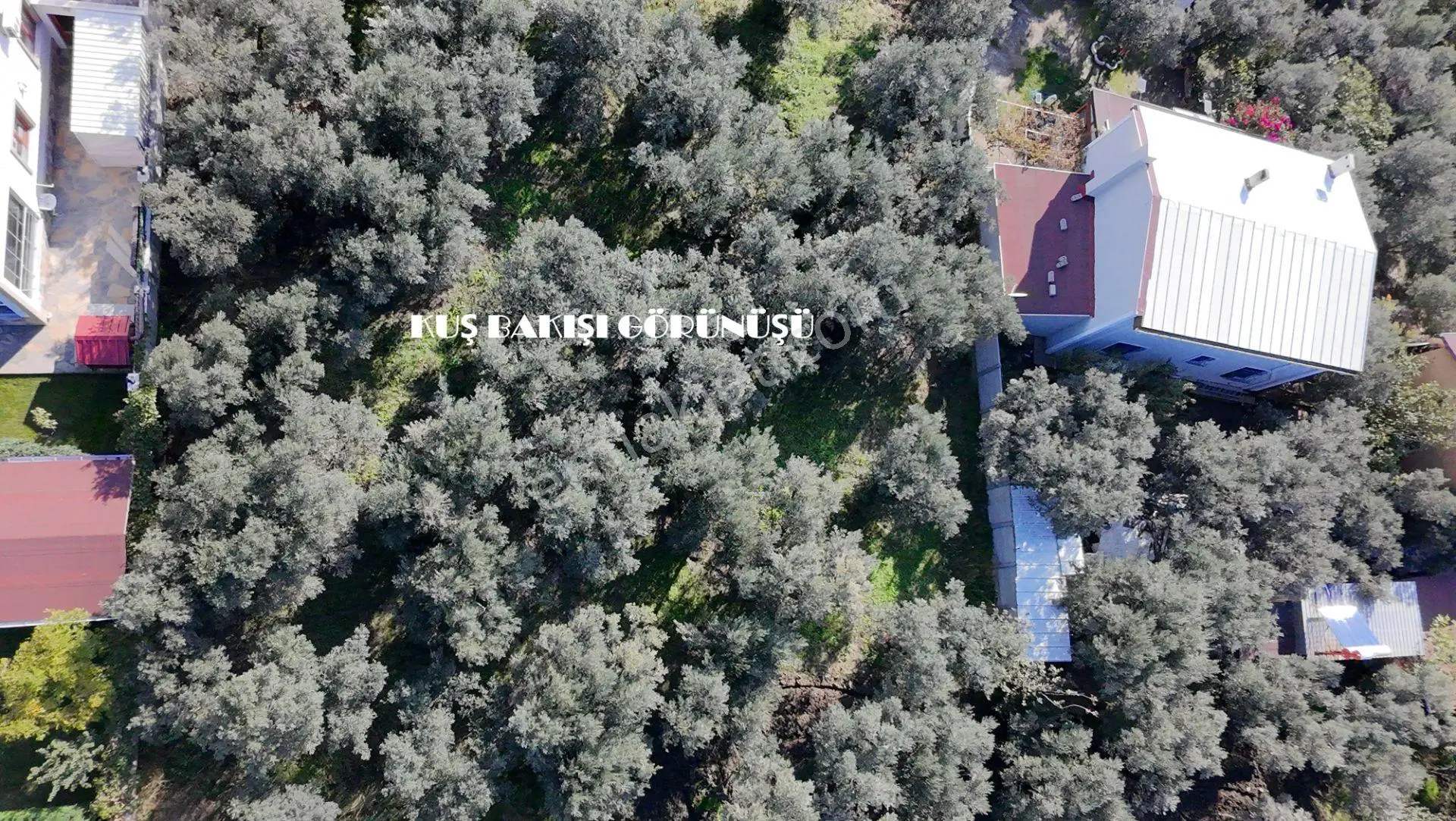 Balıkesir Erdek Narlı Mah. 940 M2 Satılık Zeytinlik Merkezi Konumda Villa İmarlı — fotoğraf 3