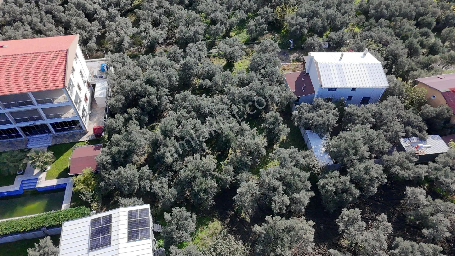 Balıkesir Erdek Narlı Mah. 940 M2 Satılık Zeytinlik Merkezi Konumda Villa İmarlı — fotoğraf 4