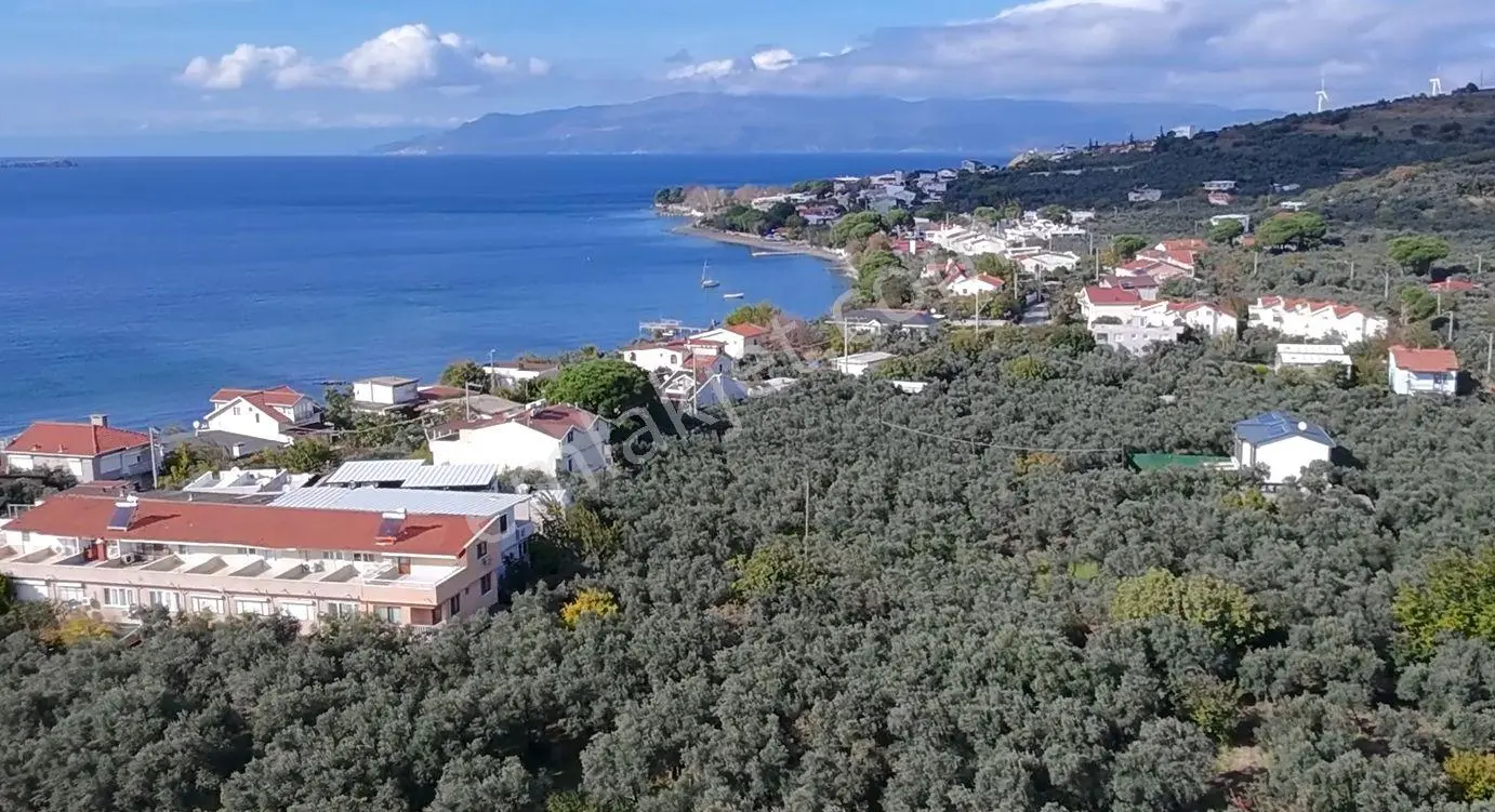 Balıkesir Erdek Narlı Mah. 940 M2 Satılık Zeytinlik Merkezi Konumda Villa İmarlı — fotoğraf 5