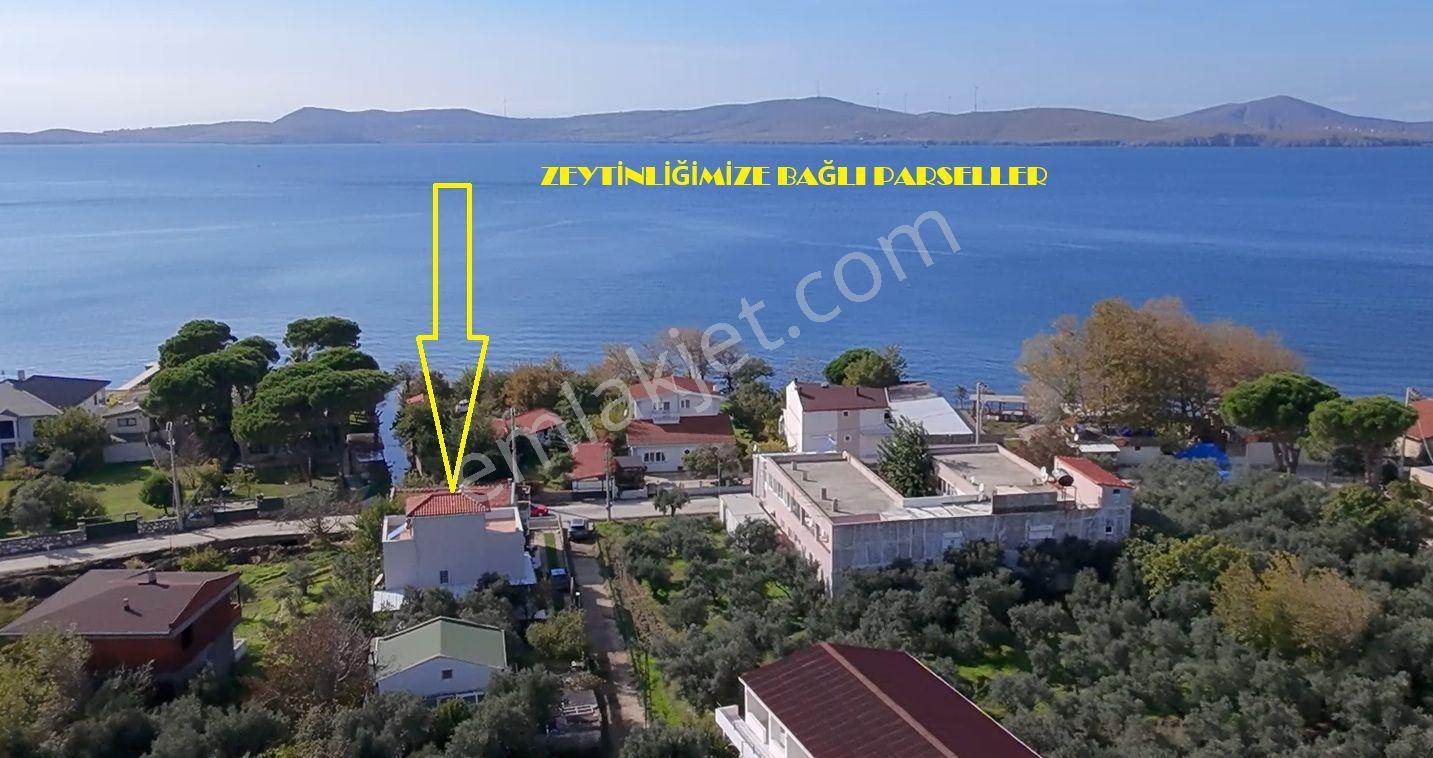 Balıkesir Erdek Narlı Mah. 940 M2 Satılık Zeytinlik Merkezi Konumda Villa İmarlı — fotoğraf 6
