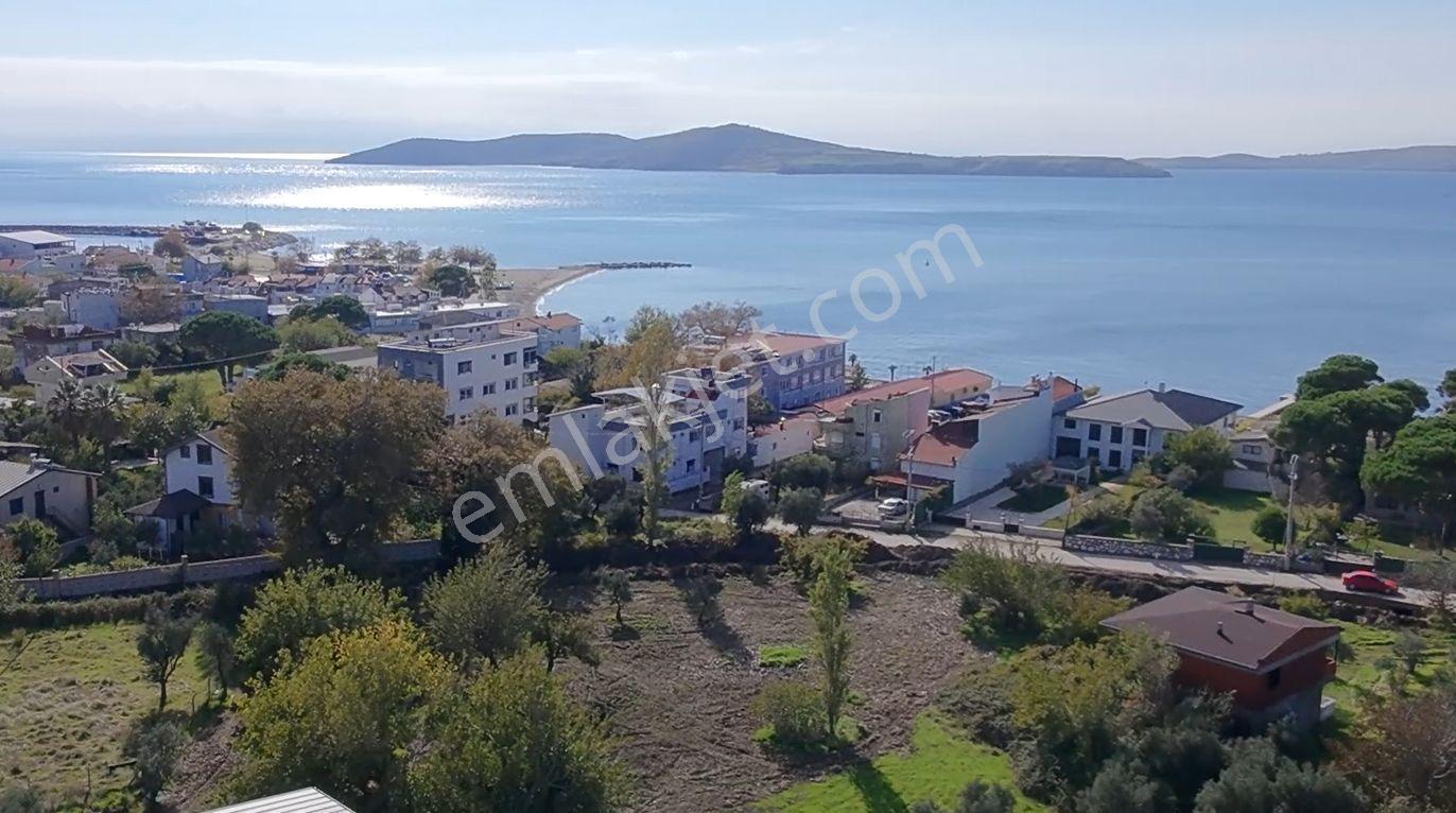 Balıkesir Erdek Narlı Mah. 940 M2 Satılık Zeytinlik Merkezi Konumda Villa İmarlı — fotoğraf 7