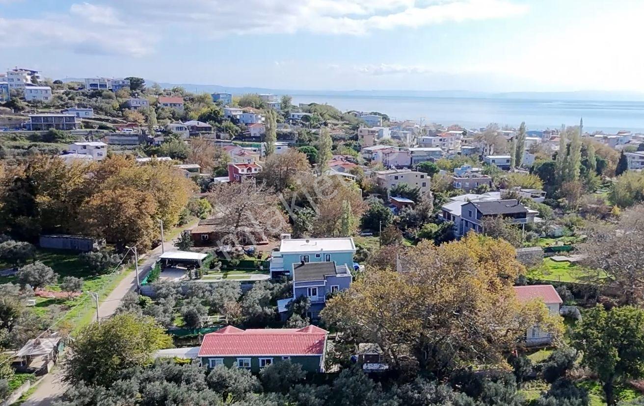 Balıkesir Erdek Narlı Mah. 940 M2 Satılık Zeytinlik Merkezi Konumda Villa İmarlı — fotoğraf 8
