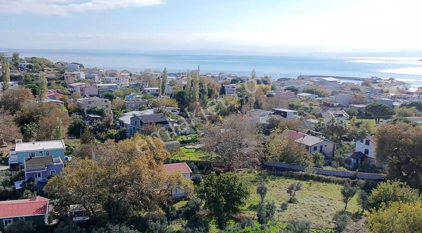 Balıkesir Erdek Narlı Mah. 940 M2 Satılık Zeytinlik Merkezi Konumda Villa İmarlı — fotoğraf 9