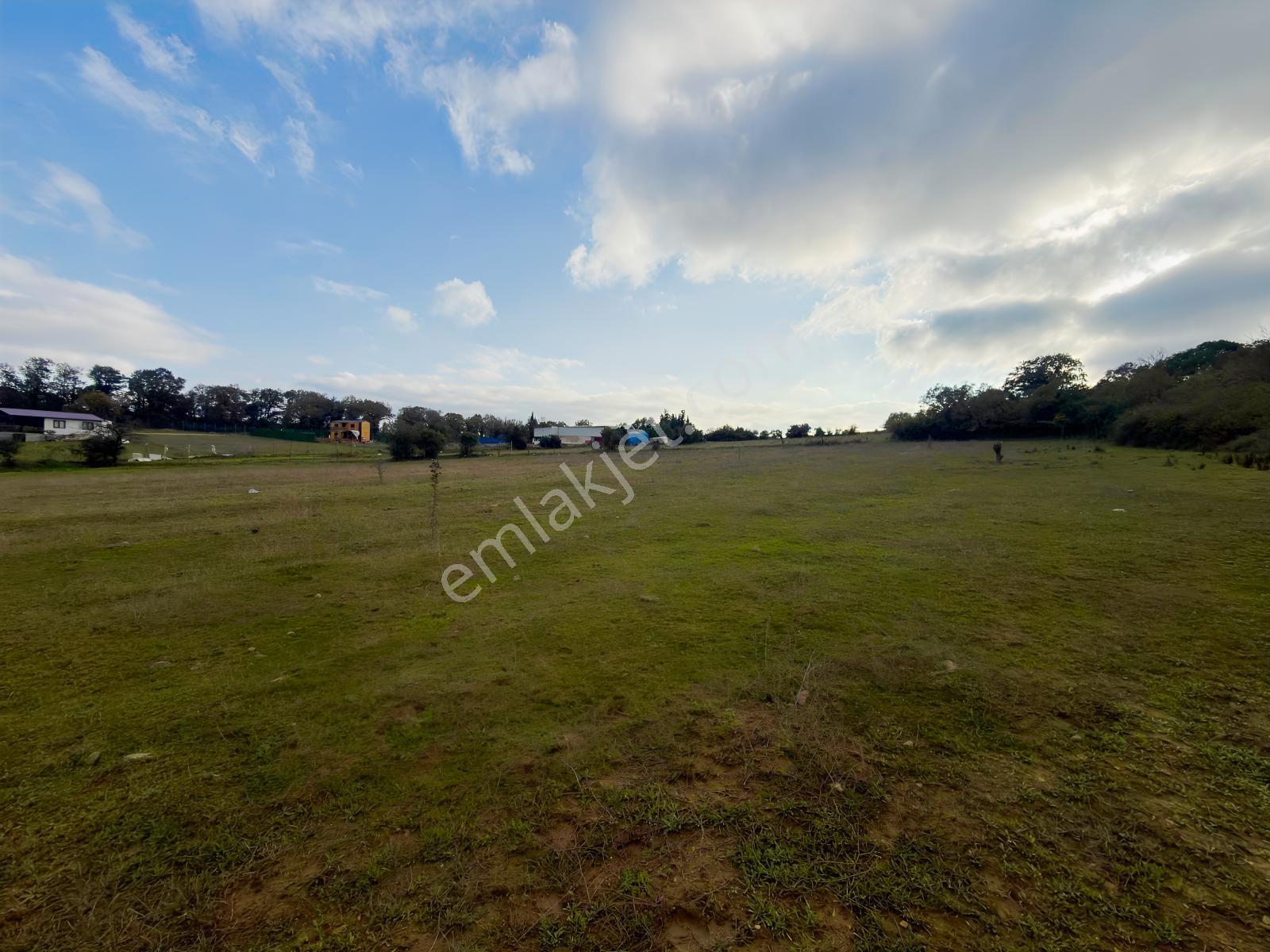 Kocaeli Gebze Akviran Tek Hisse Tapulu 10.194m2 Satılık Tarla — fotoğraf 10