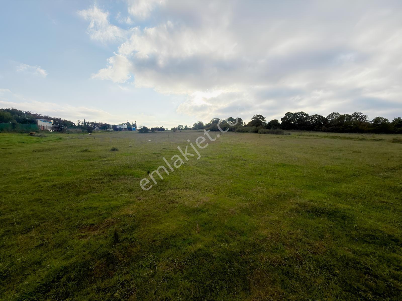 Kocaeli Gebze Akviran Tek Hisse Tapulu 10.194m2 Satılık Tarla — fotoğraf 21
