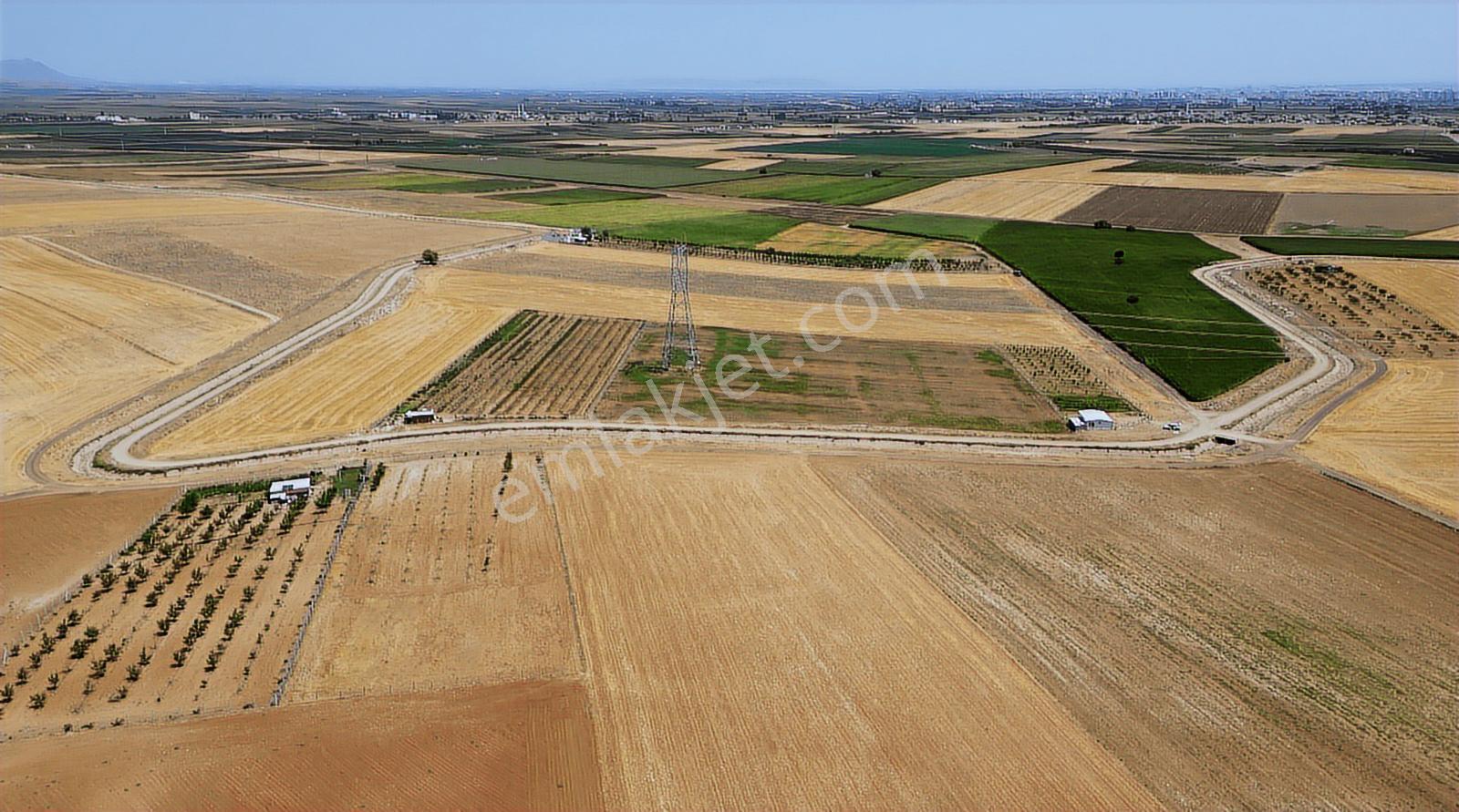 Esentepe'ye Yakın Konumda, 140mt Kanal Ve Yol Cep. Satılık Tarla — fotoğraf 8