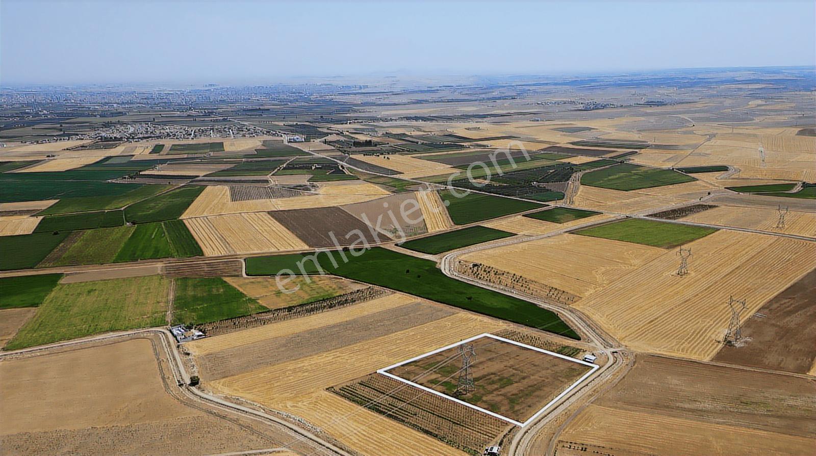 Esentepe'ye Yakın Konumda, 140mt Kanal Ve Yol Cep. Satılık Tarla — fotoğraf 11