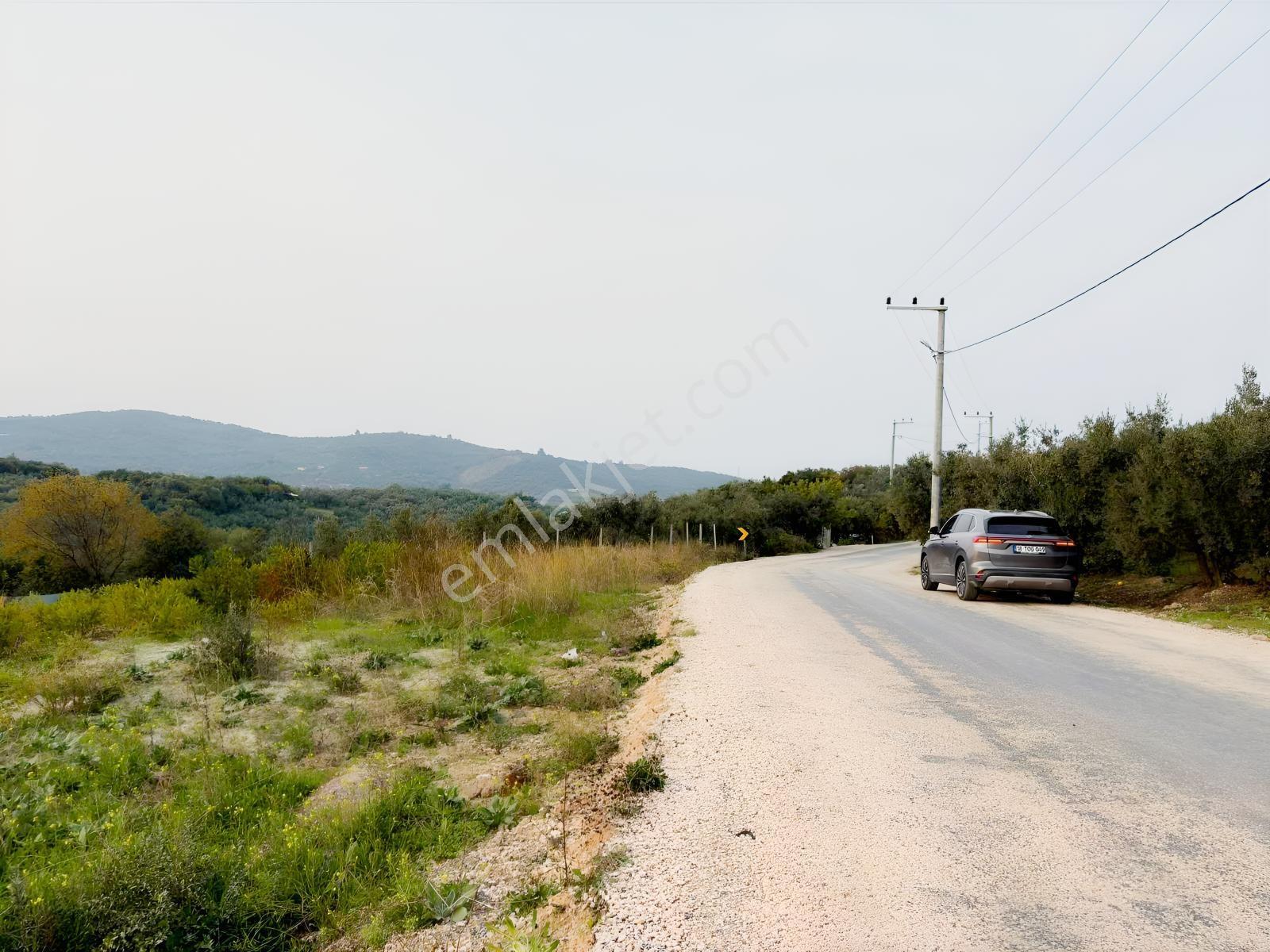 Akram'dan Halitpaşa'da Deniz Manzaralı Asfalta Cephe Arazi — fotoğraf 2