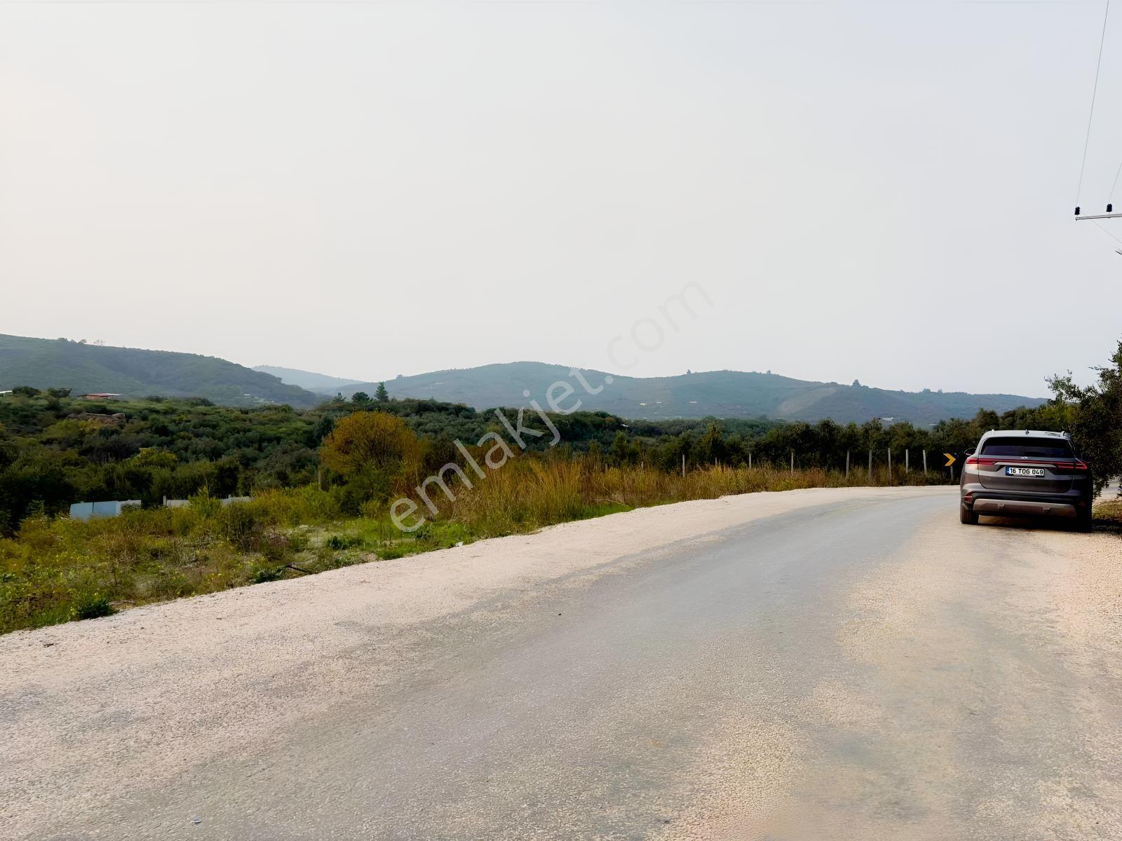 Akram'dan Halitpaşa'da Deniz Manzaralı Asfalta Cephe Arazi — fotoğraf 12