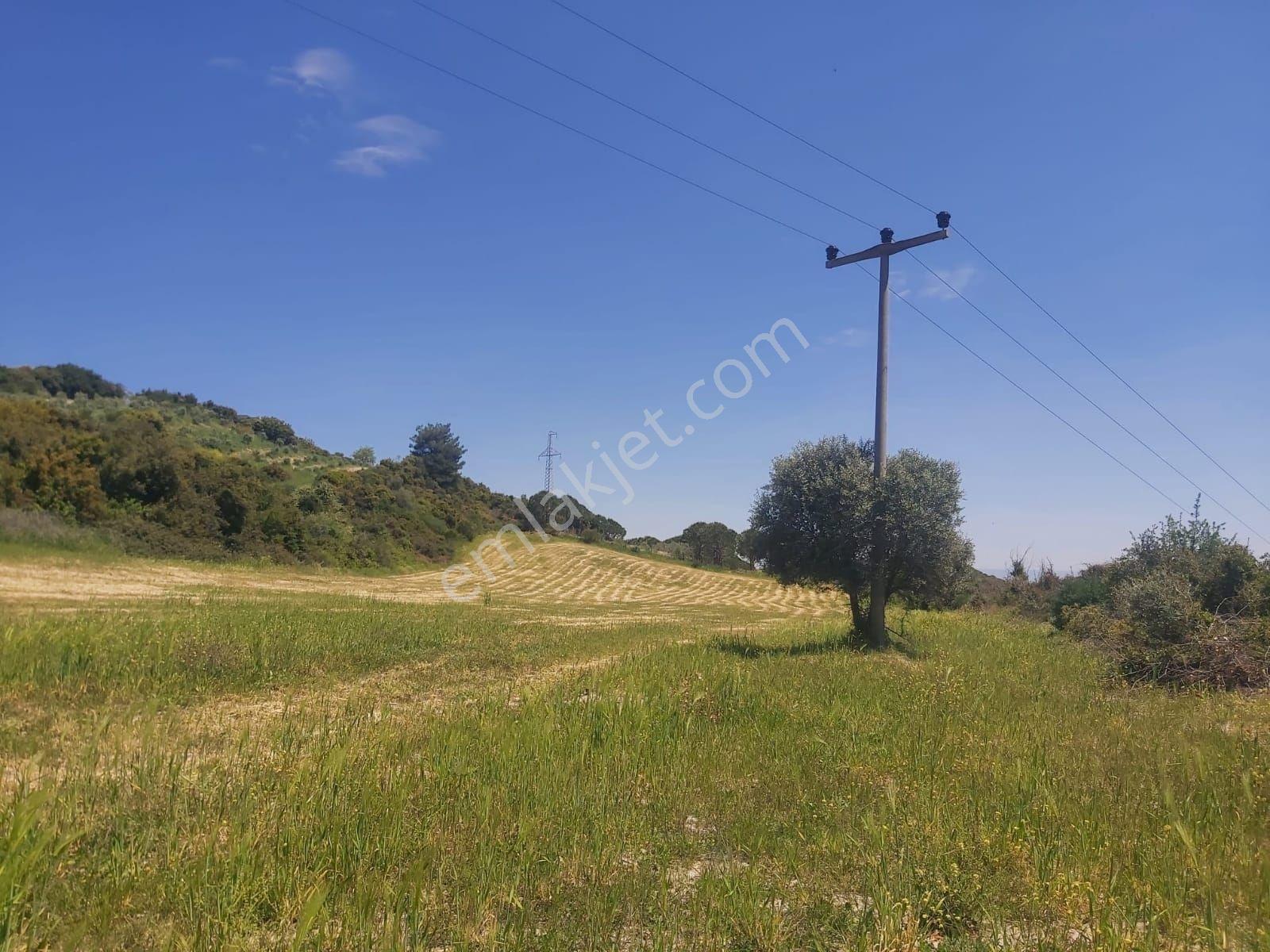 Acil Satılık Tam Yatırımlık. Kuşadası Yaylaköy De 8 Dönüm — fotoğraf 2