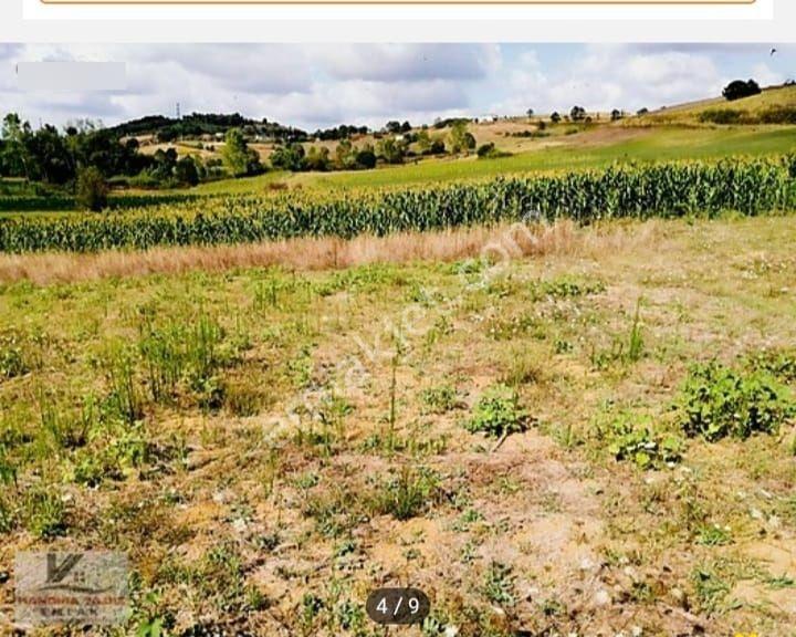 Kocaeli Kandıra Sarigazi'de Köye Yakın 2938 M2 0.05 İmarlı Arsa — fotoğraf 4
