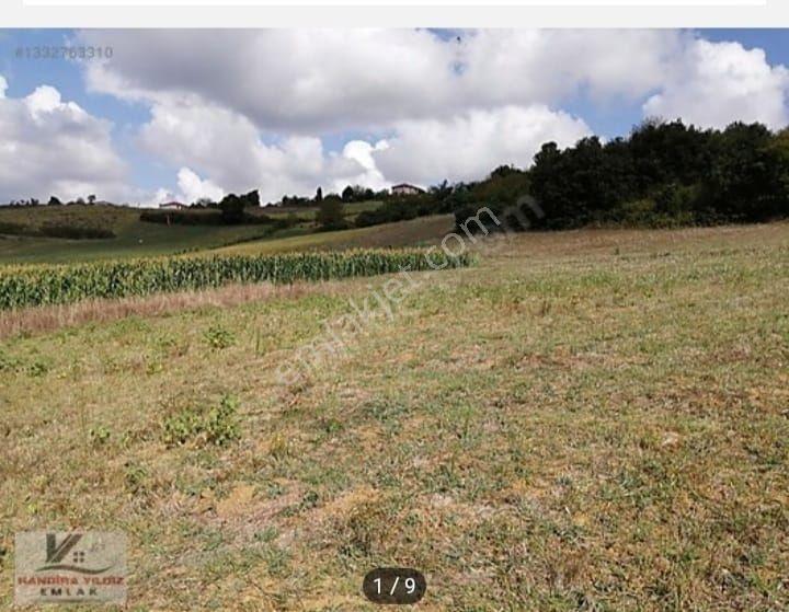 Kocaeli Kandıra Sarigazi'de Köye Yakın 2938 M2 0.05 İmarlı Arsa — fotoğraf 8