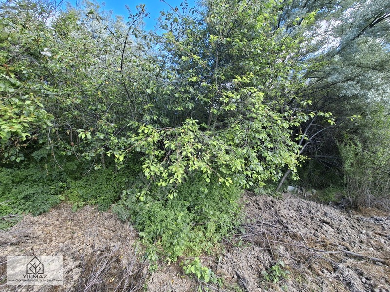 Yılmaz Gayrimenkulden Toygarda Anayola 23 Metre Cepheli Satlık — fotoğraf 16