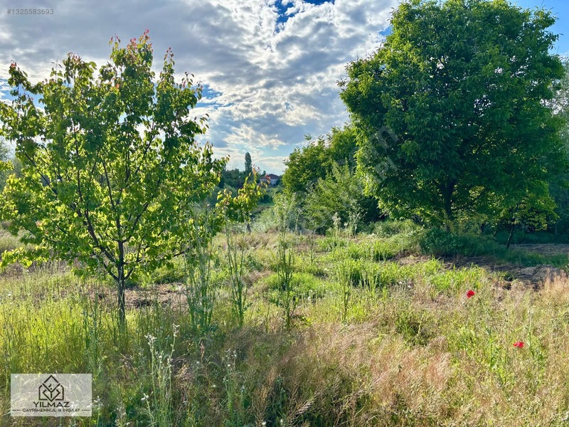 Yılmaz Gayrimenkulden Toygarda Anayola 23 Metre Cepheli Satlık — fotoğraf 26