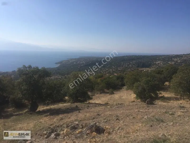 Ayvacık Kuruoba 12.042m² Deniz Ve Doğa Manzaralı Eşsiz Taş Ev — fotoğraf 31
