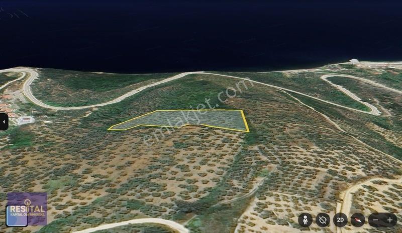 Mudanya Kumyakada Full Deniz Manzaralı 4.189 M² Müstakil Tapulu