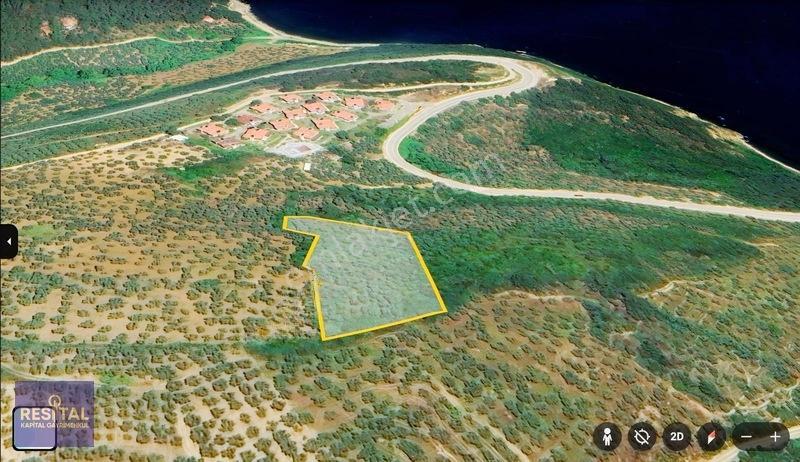 Mudanya Kumyakada Full Deniz Manzaralı 4.189 M² Müstakil Tapulu — fotoğraf 2