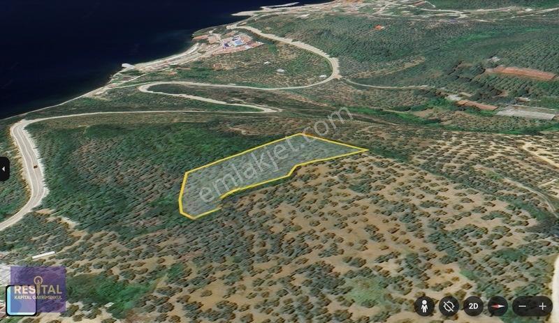 Mudanya Kumyakada Full Deniz Manzaralı 4.189 M² Müstakil Tapulu — fotoğraf 3