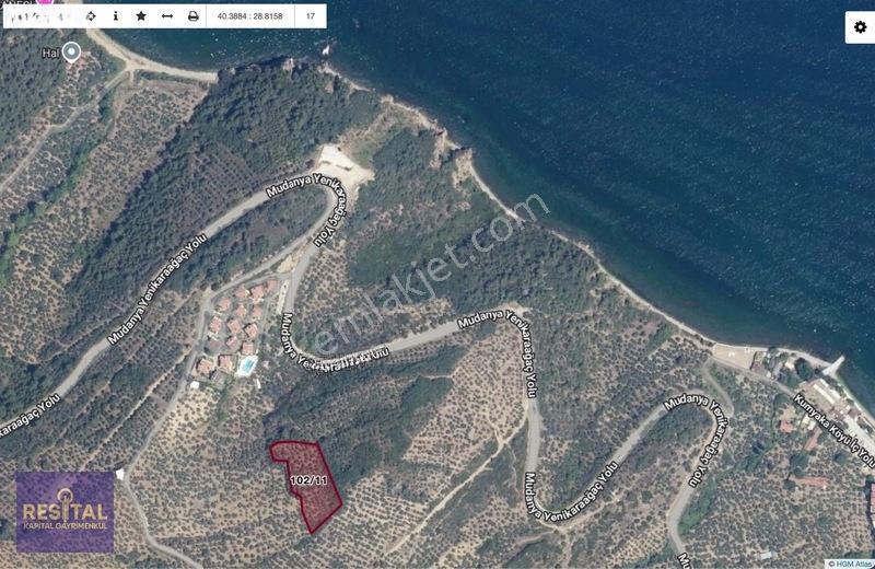 Mudanya Kumyakada Full Deniz Manzaralı 4.189 M² Müstakil Tapulu — fotoğraf 5