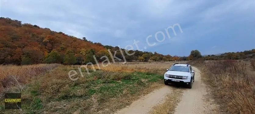 Resmi Yola Cephe Tabak Gibi Düz Arazi — fotoğraf 8