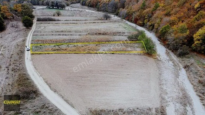 Resmi Yola Cephe Tabak Gibi Düz Arazi — fotoğraf 9