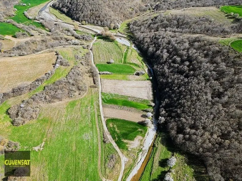 Resmi Yola Cephe Tabak Gibi Düz Arazi — fotoğraf 15