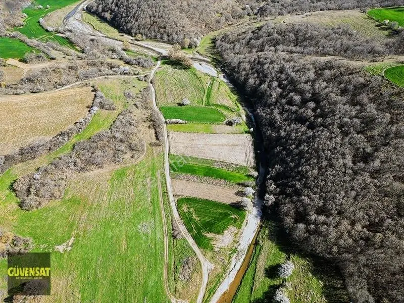 Resmi Yola Cephe Tabak Gibi Düz Arazi — fotoğraf 16