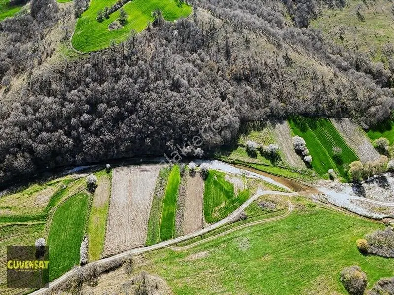 Resmi Yola Cephe Tabak Gibi Düz Arazi — fotoğraf 26