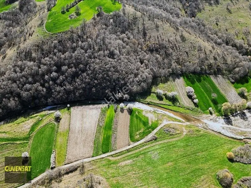 Resmi Yola Cephe Tabak Gibi Düz Arazi — fotoğraf 27