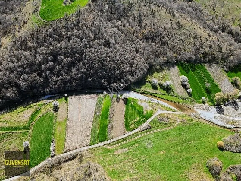 Resmi Yola Cephe Tabak Gibi Düz Arazi — fotoğraf 28