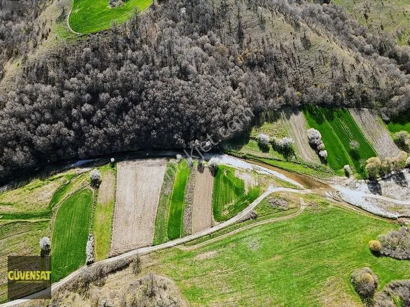 Resmi Yola Cephe Tabak Gibi Düz Arazi — fotoğraf 29