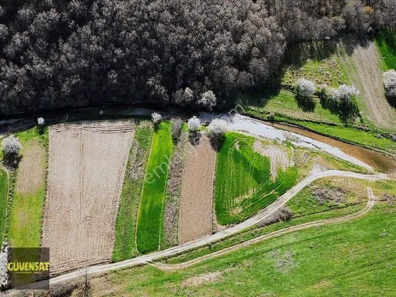 Resmi Yola Cephe Tabak Gibi Düz Arazi — fotoğraf 30