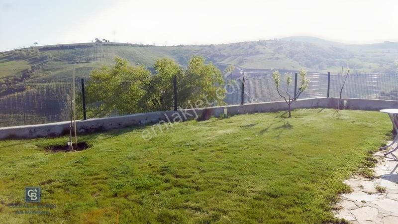 Manisa Gördes'De Satılık 138.500 M2 Ceviz & Zeytin Bahçesi...