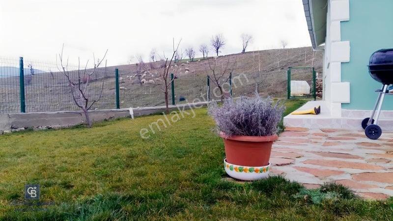 Manisa Gördes'de Satılık 138.500 M2 Ceviz & Zeytin Bahçesi... — fotoğraf 2