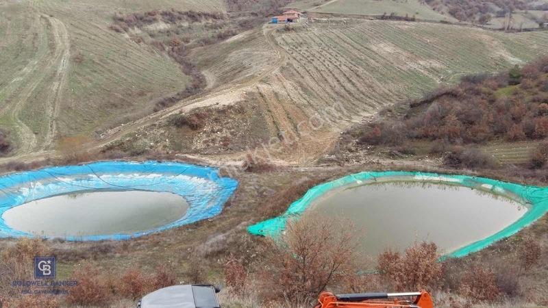 Manisa Gördes'de Satılık 138.500 M2 Ceviz & Zeytin Bahçesi... — fotoğraf 12