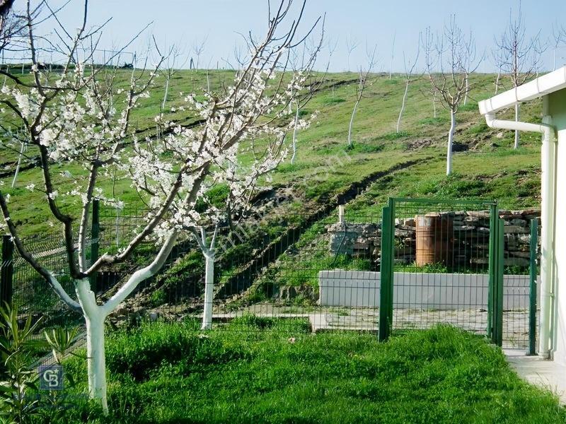 Manisa Gördes'de Satılık 138.500 M2 Ceviz & Zeytin Bahçesi... — fotoğraf 13