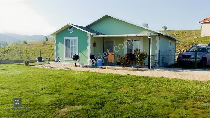Manisa Gördes'de Satılık 138.500 M2 Ceviz & Zeytin Bahçesi... — fotoğraf 20