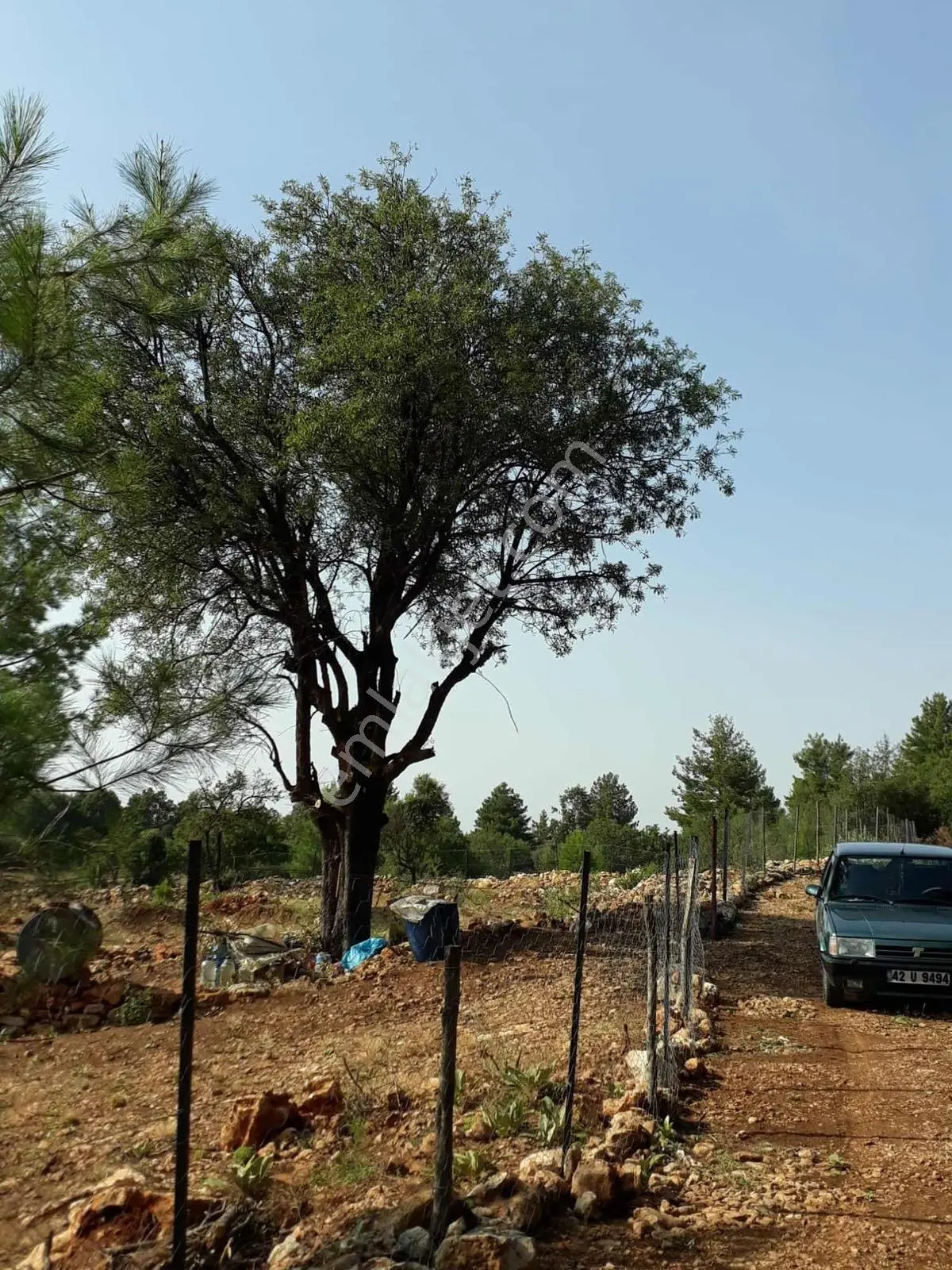 Bucak Karaseki'de Satılık Bahçe — fotoğraf 3