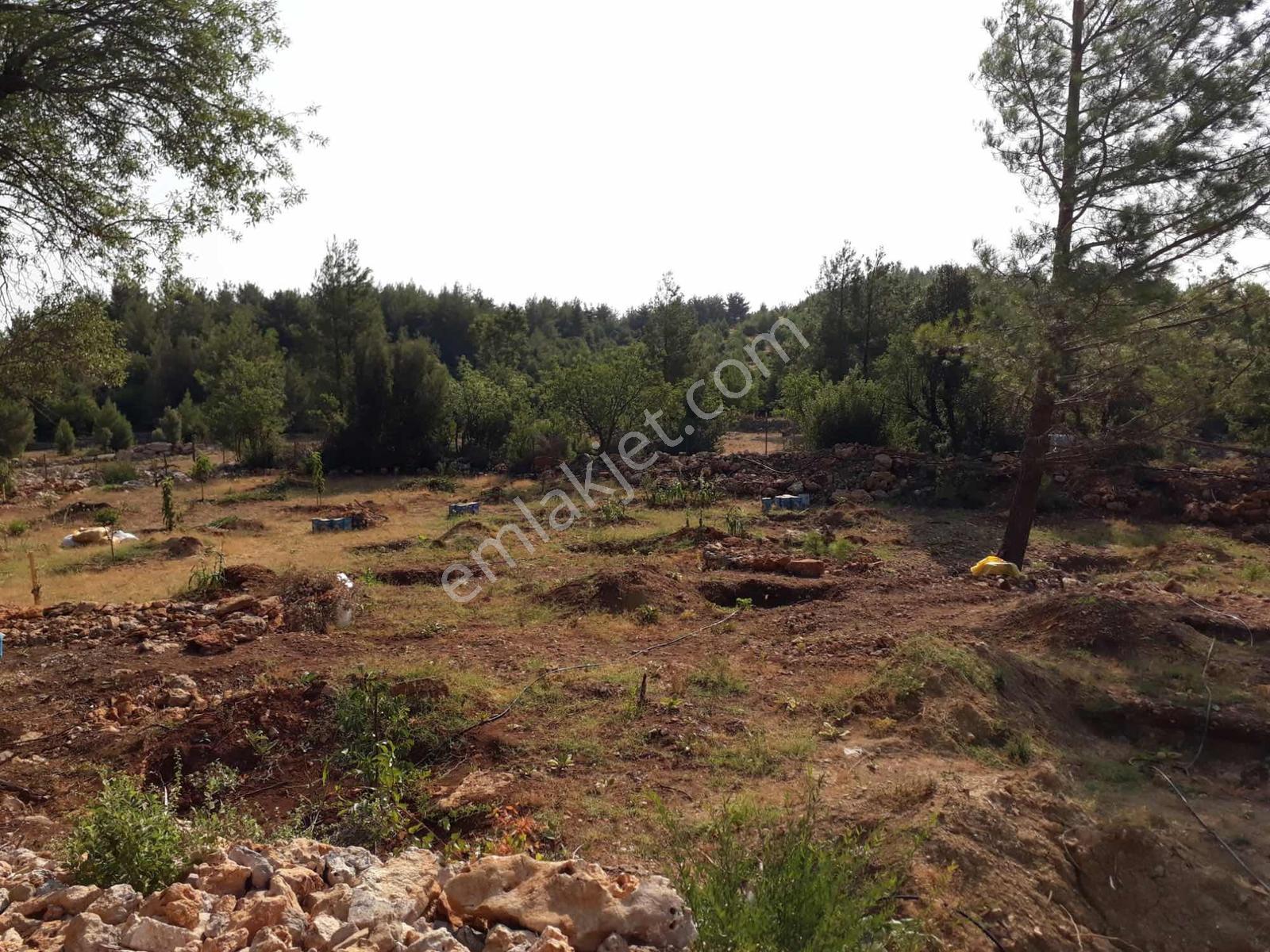 Bucak Karaseki'de Satılık Bahçe — fotoğraf 9