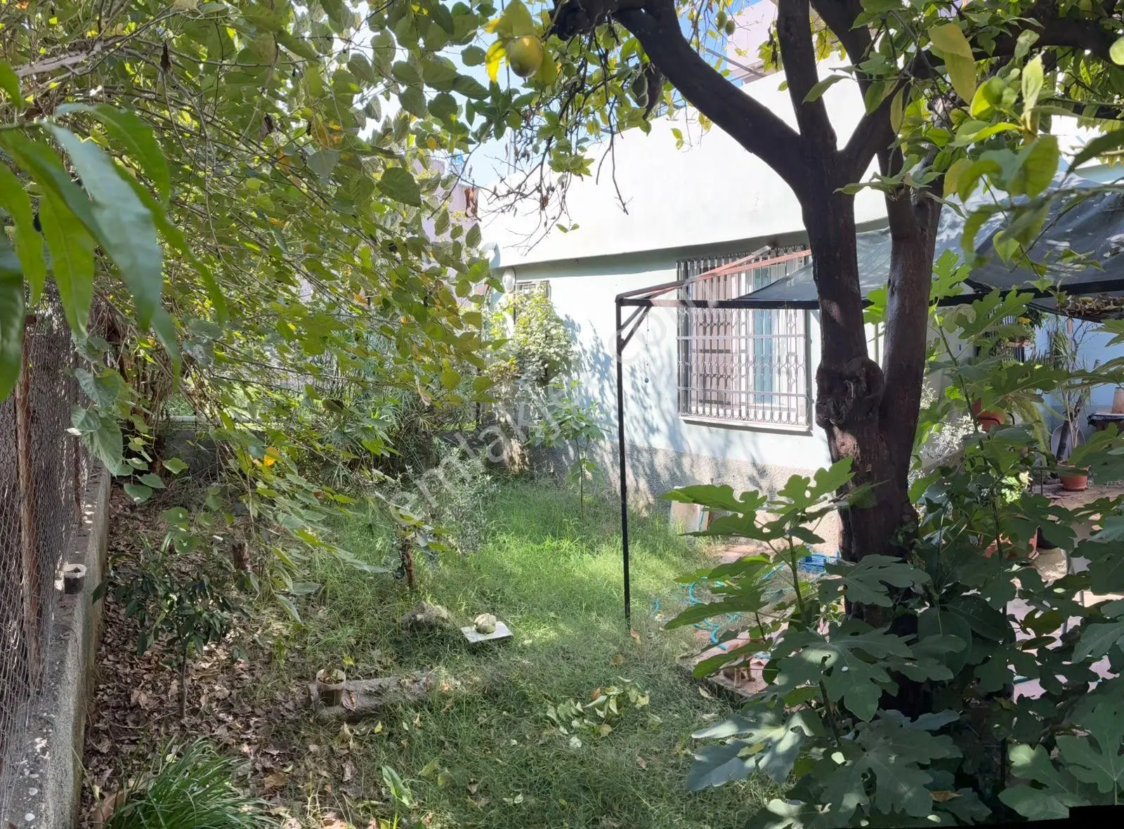 Akkapı'da Satılık Müstakil 2 Ev Ve Kiracılı Dükkan-yatırımlık Frs. — fotoğraf 3