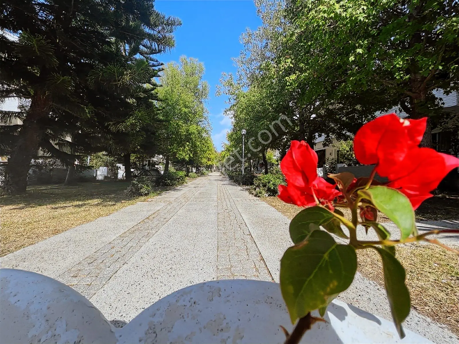 Datça Bıllurkent Sıtesi'nde Satılık Devremülk Menekşe3/8 — fotoğraf 12