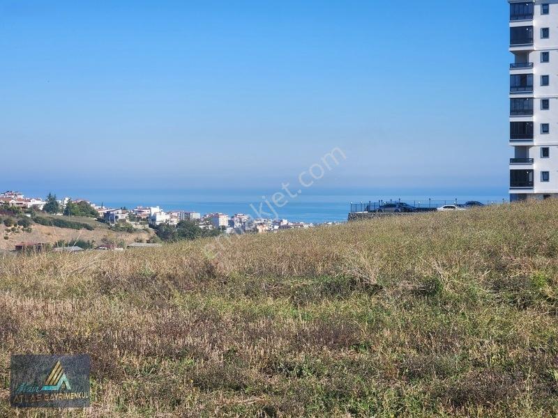 Mavi Atlas'tan Atakum Kamalı'da 2800m2 Satılık Arsa — fotoğraf 5