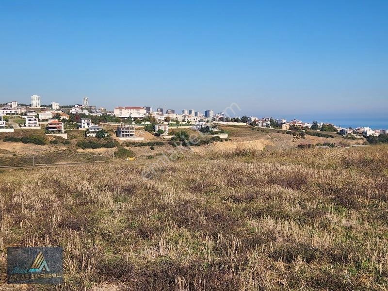 Mavi Atlas'tan Atakum Kamalı'da 2800m2 Satılık Arsa — fotoğraf 6