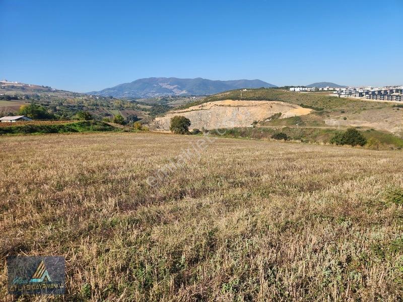 Mavi Atlas'tan Atakum Kamalı'da 2800m2 Satılık Arsa — fotoğraf 7