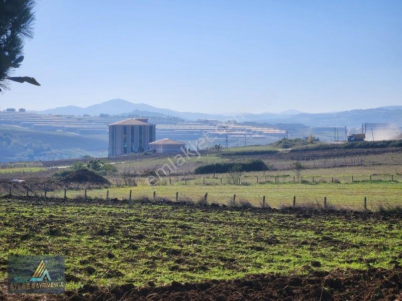 Mavi Atlas'tan Atakum Kamalı'da 2800m2 Satılık Arsa — fotoğraf 10