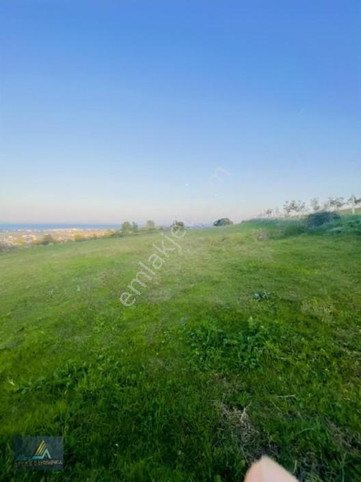 Mavi Atlas Tan 19 Mayıs Kertmede Deniz Manzaralı Tarla — fotoğraf 3