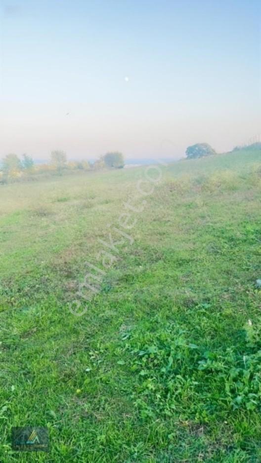Mavi Atlas Tan 19 Mayıs Kertmede Deniz Manzaralı Tarla — fotoğraf 4