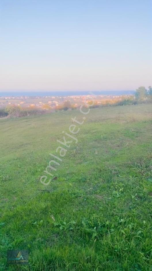Mavi Atlas Tan 19 Mayıs Kertmede Deniz Manzaralı Tarla — fotoğraf 5