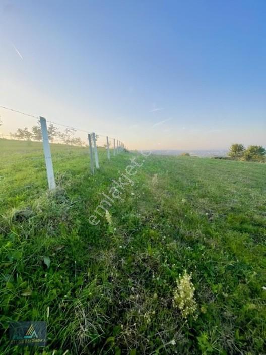 Mavi Atlas Tan 19 Mayıs Kertmede Deniz Manzaralı Tarla — fotoğraf 7
